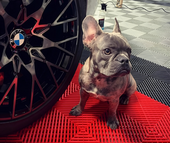 swisstrax bmw pug garage flooring black red