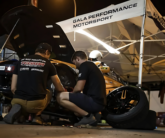 night repair under gala performance gazebo